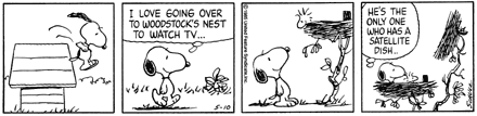 Woodstock with satellite TV