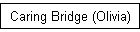 Caring Bridge (Olivia)